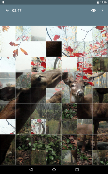 Jigsaw Puzzle: Animals - Gameplay image of android game