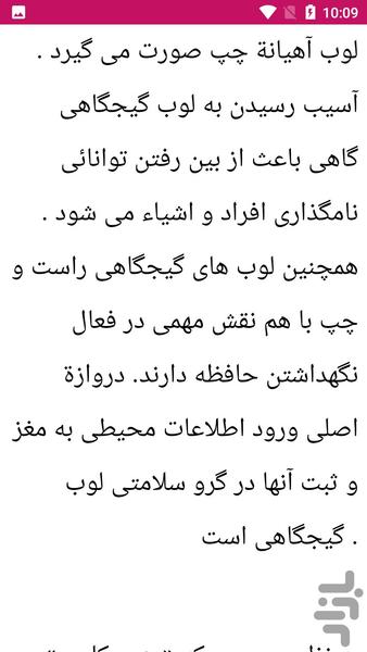 آناتومی مغز و اعصاب - Image screenshot of android app