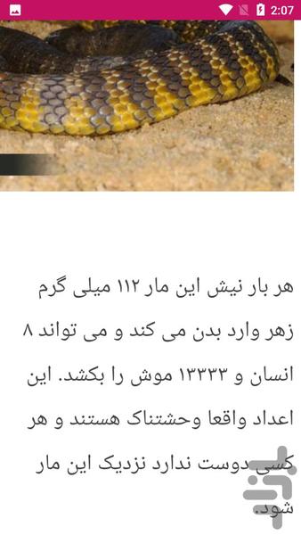 راهنمای شناخت مار های سمی - Image screenshot of android app