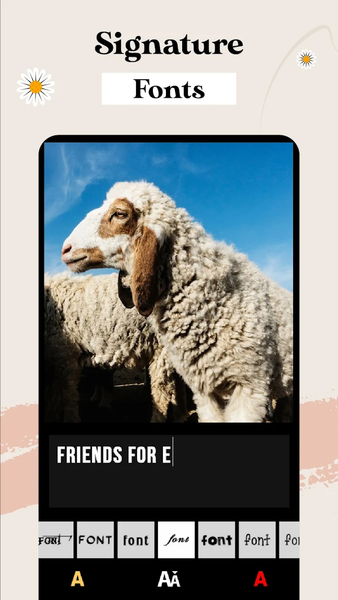 Collage Maker – Photo Editor - عکس برنامه موبایلی اندروید