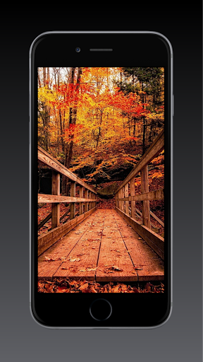 Fall Wallpaper HD, GIF - Image screenshot of android app