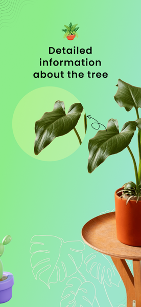 Plant Identifier - Plant Check - عکس برنامه موبایلی اندروید