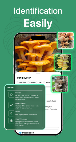 Plant Identifier - Scan & Care - عکس برنامه موبایلی اندروید