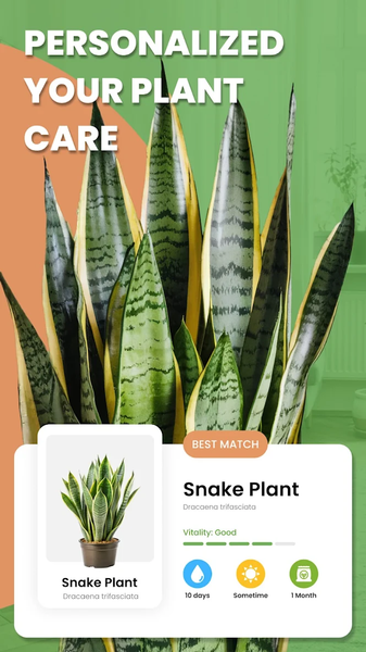 AI Plant Identifier App - Image screenshot of android app