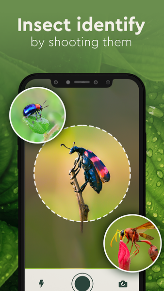 Plant Identifier, Insect ID - عکس برنامه موبایلی اندروید