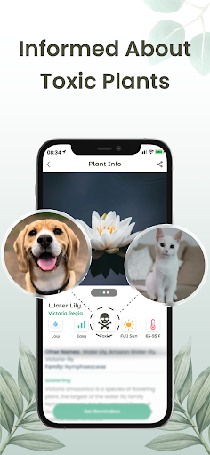 Plant Identifier: Plantiary - Image screenshot of android app
