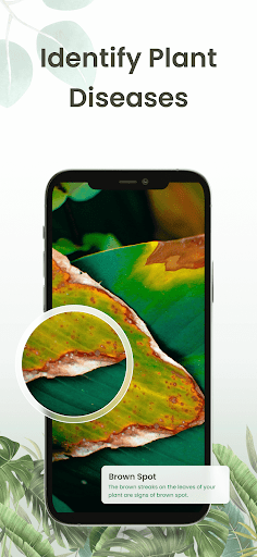 Plant Identifier: Plantiary - Image screenshot of android app