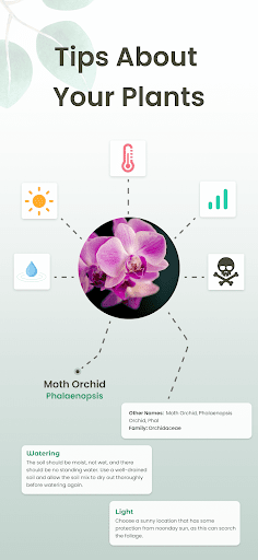 Plant Identifier: Plantiary - Image screenshot of android app