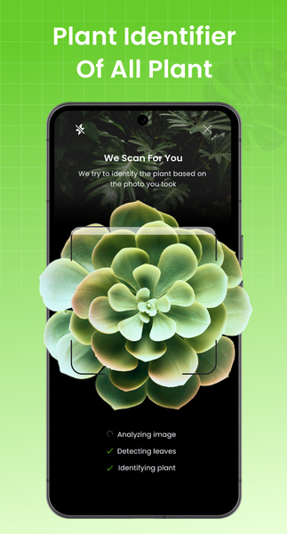 AI Plant Identifier & Care - Image screenshot of android app