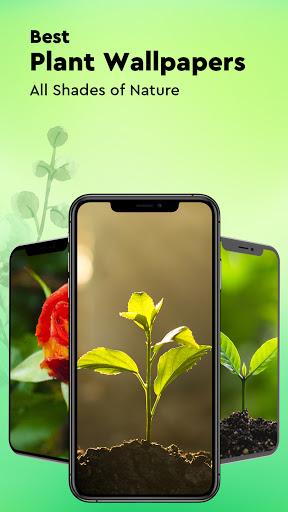 Plant Identification, Mushroom Identifier, LeafMap - Image screenshot of android app