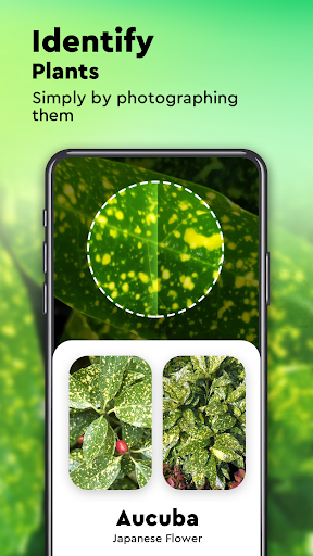 Plant Identification, Mushroom Identifier, LeafMap - Image screenshot of android app