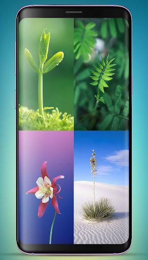 Plants Wallpaper HD - Image screenshot of android app