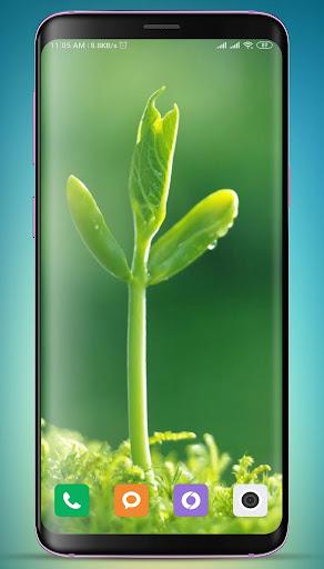 Plants Wallpaper HD - Image screenshot of android app