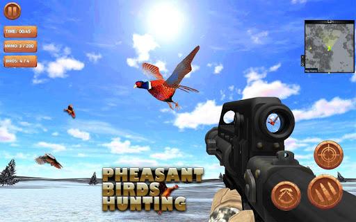 Pheasant Birds Hunting Games - Gameplay image of android game