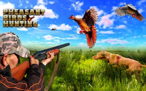 Pheasant Birds Hunting Games - Gameplay image of android game