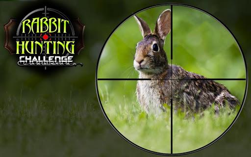 Rabbit Hunting Bow Games - Gameplay image of android game