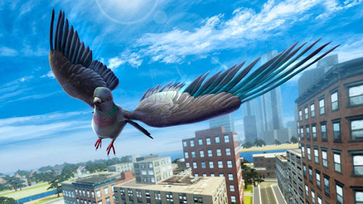 City Bird Pigeon Simulator 3D - Gameplay image of android game