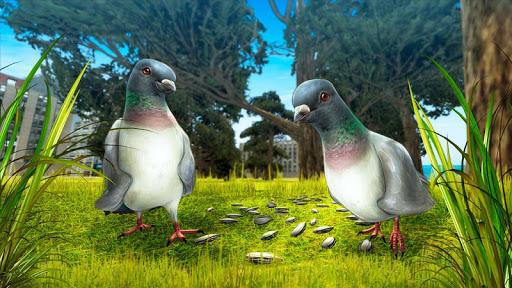 City Bird Pigeon Simulator 3D - Gameplay image of android game