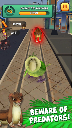 Kakapo Run - عکس بازی موبایلی اندروید