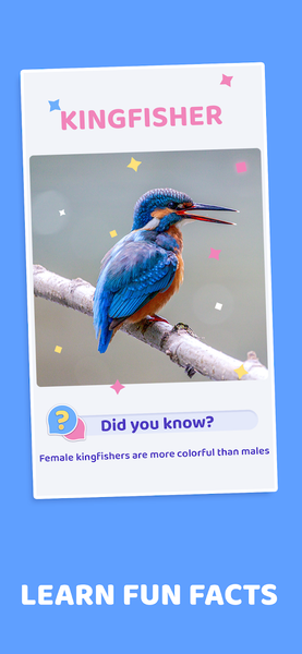 Word Pics: Trivia Puzzles - Gameplay image of android game