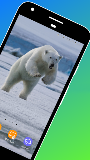 New Polar Bear Wallpaper - Image screenshot of android app