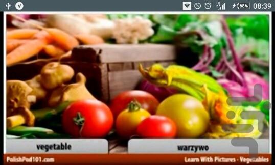 آموزش لغات روزمره لهستانی - Image screenshot of android app