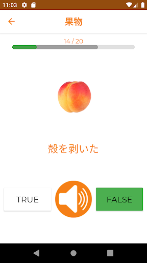 Japanese Vocabulary - عکس برنامه موبایلی اندروید