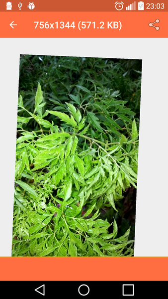 Compress Image , Resize & Crop - Image screenshot of android app