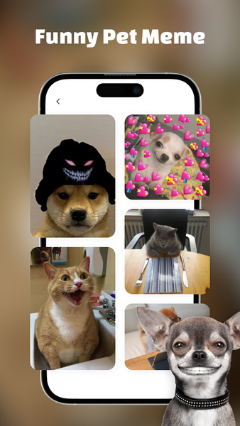 Pet Together: Play With Pets - Image screenshot of android app