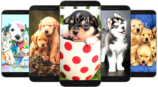 Dog Wallpaper HD for Android - Download | Cafe Bazaar Dog Wallpaper HD for Android - Download | Cafe Bazaar