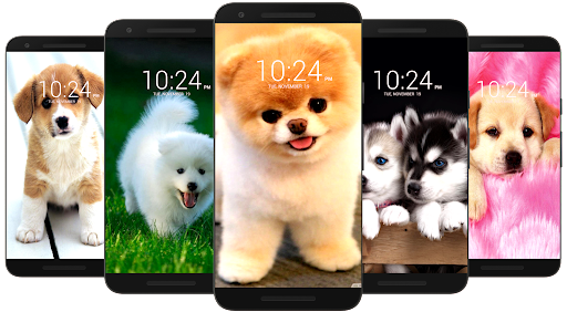 Dog Wallpaper HD - عکس برنامه موبایلی اندروید