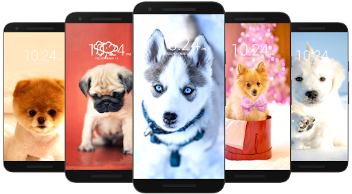 Dog Wallpaper HD for Android - Download | Cafe Bazaar Dog Wallpaper HD for Android - Download | Cafe Bazaar
