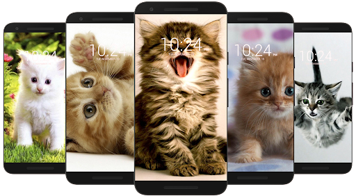 Cute Kittens Wallpapers For Mobile  Wallpaper Cave