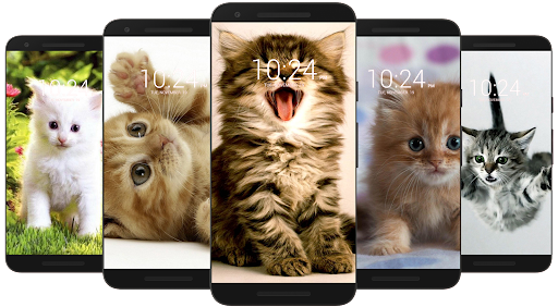 Kitten & Cute Cat Wallpaper HD for Android - Download | Cafe Bazaar Kitten & Cute Cat Wallpaper HD for Android - Download | Cafe Bazaar