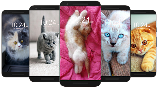 Free customizable cat phone wallpaper templates  Canva