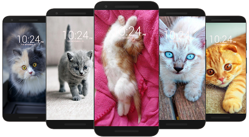 Kitten & Cute Cat Wallpaper HD - Image screenshot of android app