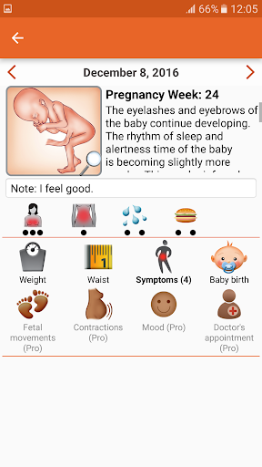 WomanLog Pregnancy Calendar - Image screenshot of android app