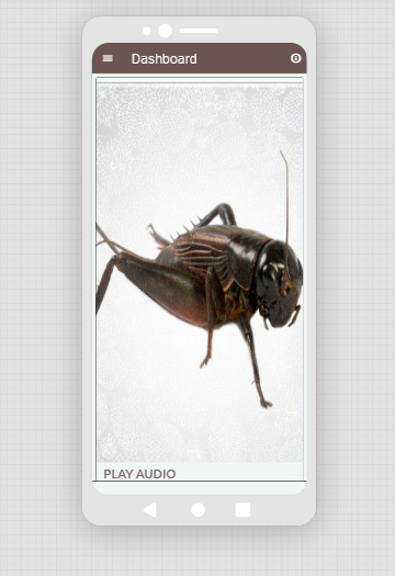 Crickets sounds - عکس برنامه موبایلی اندروید