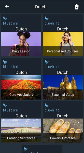 Learn Dutch. Speak Dutch. Stud - Image screenshot of android app