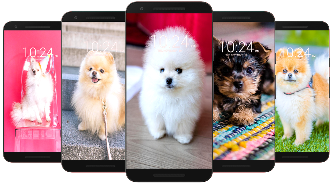 Dog Wallpaper HD - Image screenshot of android app