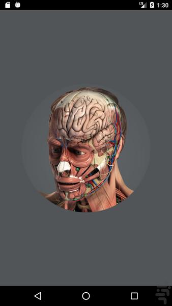 Human 3D Anatomy - Image screenshot of android app