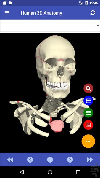 Human 3D Anatomy - عکس برنامه موبایلی اندروید