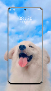 برنامه Cute puppy wallpapers ?– dog wallpapers - دانلود | کافه بازار