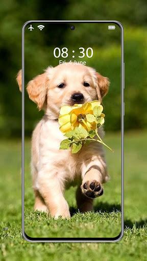 Cute puppy wallpapers 🐕– dog wallpapers - Image screenshot of android app