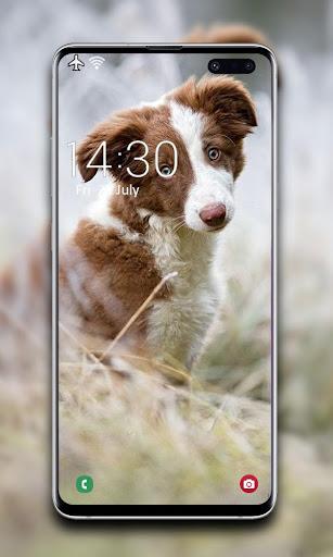 Puppy Wallpaper - عکس برنامه موبایلی اندروید