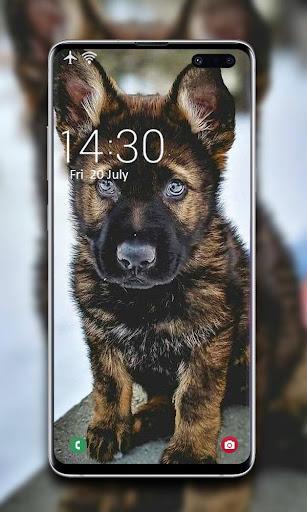 Puppy Wallpaper - عکس برنامه موبایلی اندروید