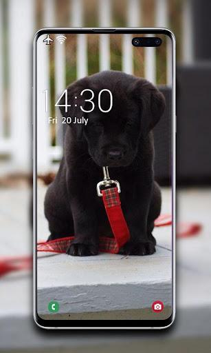 Puppy Wallpaper - عکس برنامه موبایلی اندروید