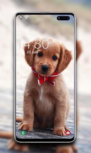 Puppy Wallpaper - عکس برنامه موبایلی اندروید