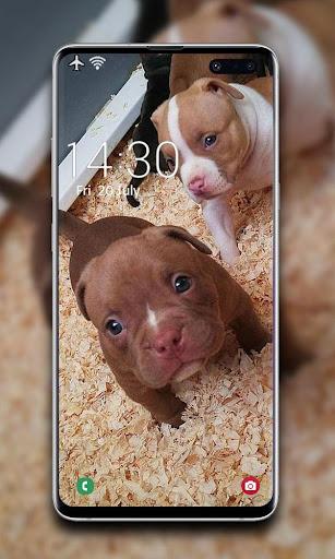 Puppy Wallpaper - عکس برنامه موبایلی اندروید