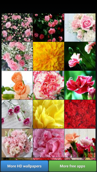 Carnation for Mum - Wallpapers - عکس برنامه موبایلی اندروید